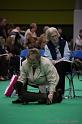 Crufts2011_2 1089